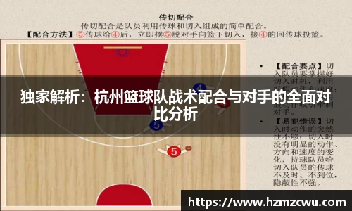独家解析：杭州篮球队战术配合与对手的全面对比分析