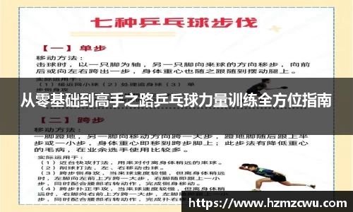从零基础到高手之路乒乓球力量训练全方位指南